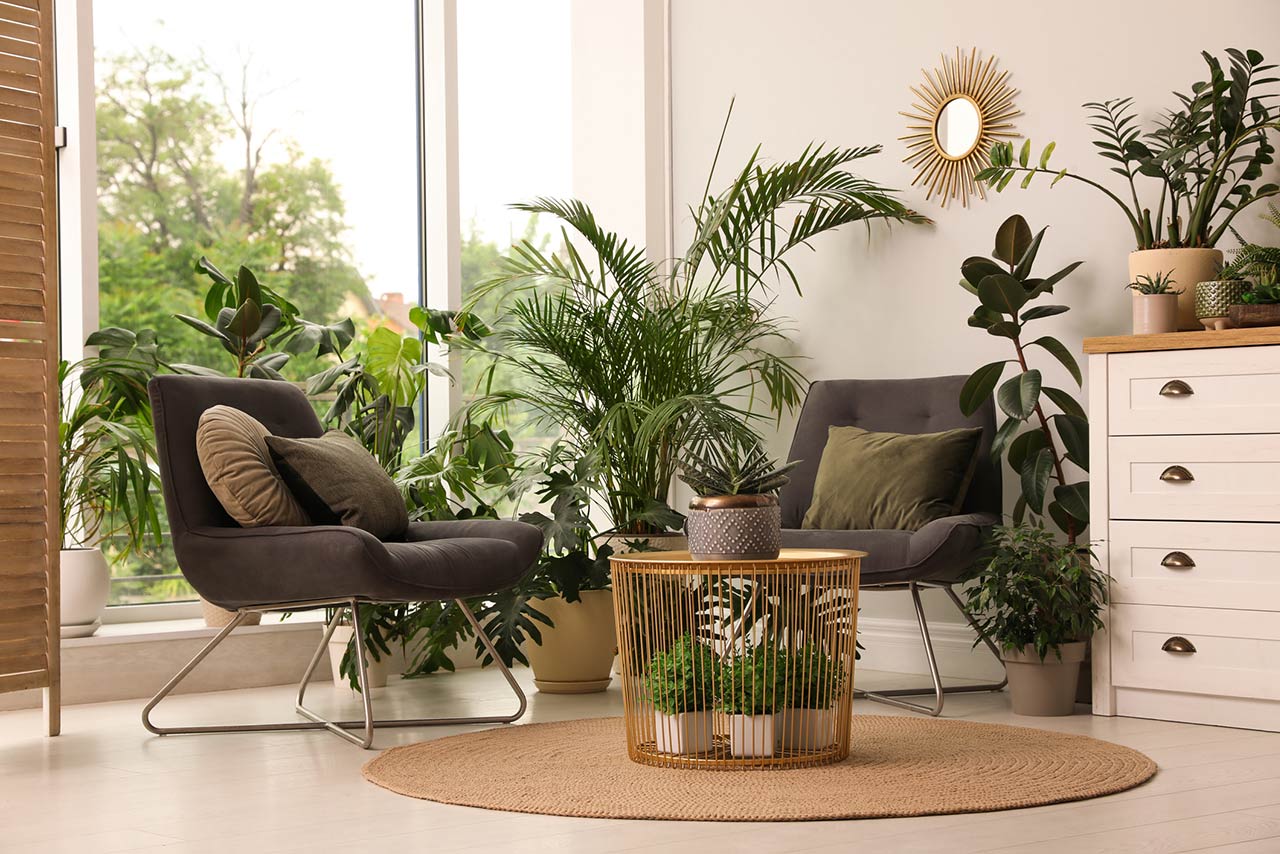 Photo of a lounge area interior with comfortable armchairs and houseplants