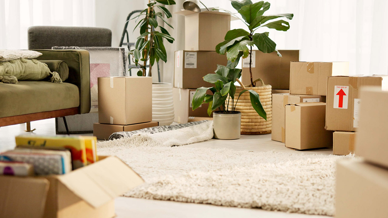 Moving boxes in a living room stock photo